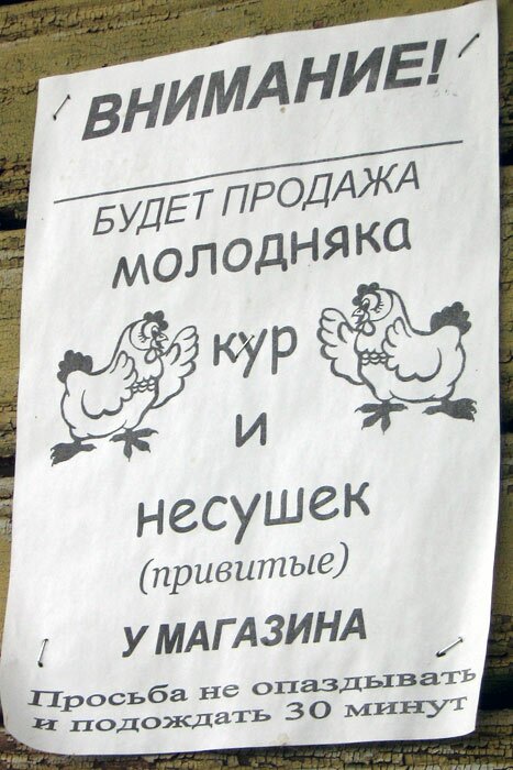 Объявление: Просьба не опаздывать и подождать 30 минут